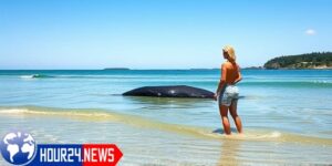 An Unexpected Discovery by the Sea
