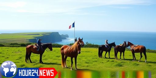 A Ouessant, des pur-sang à la retraite coulent des jours paisibles