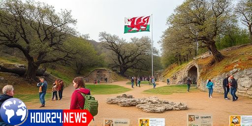 Brymbo Fossil Forest: 300 Million Years of History to Explore
