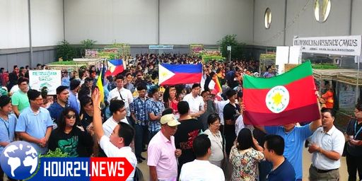 Bohol Celebrated for Its Large-Scale Rice Program Success