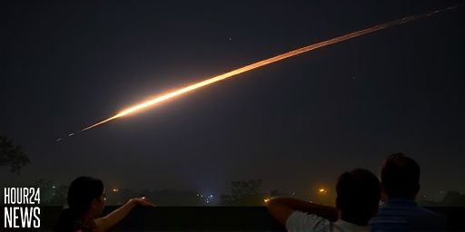 Fireball Over Delhi-NCR: Chinese Rocket Debris or Meteor?