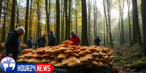 Mystery Unfolds as Hunteburg Man Discovers Body in Stemweder Berg