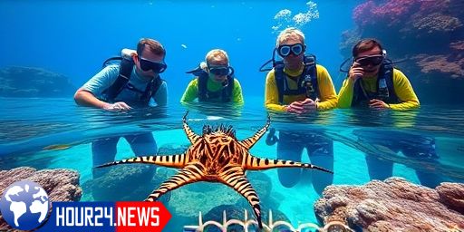 $1.4M Investment to Combat Crown-of-Thorns Starfish Threat