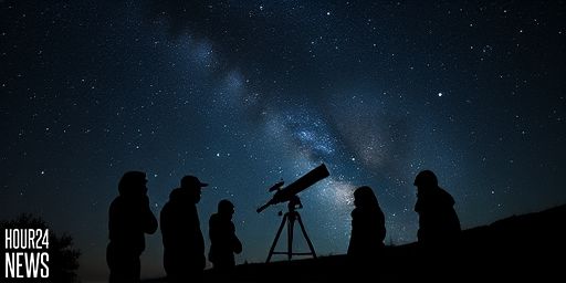 Spider Pulsars: The Cosmic Predators of the Night Sky