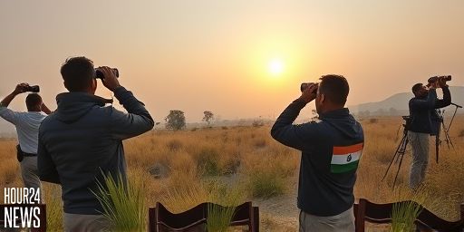 Rs 50 Crore Hunt for Jerdon’s Courser: What’s Special About the Andhra Pradesh Bird?