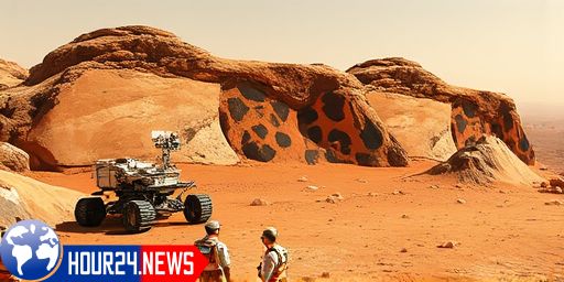 Signs of Past Life Discovered in Martian ‘Leopard Spots’