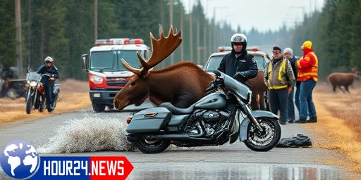 Tragic Accident: Motorcyclist Killed in Collision with Moose in Ringsaker