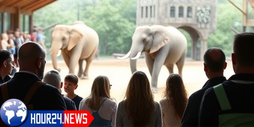 Tribute to Zali: The Loss of a Beloved Baby Elephant