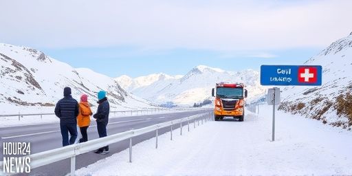 Alpine Snow Closes Multiple Passes as Central Alps See 20cm
