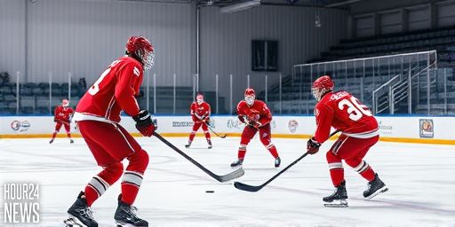 Linus Öberg Hat-Trick Lifts Redhawks Past Linköping