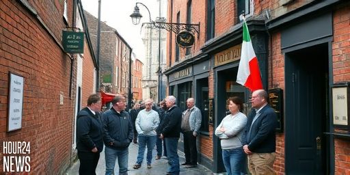 Cork City housing: Publican slams regulations over infill idea