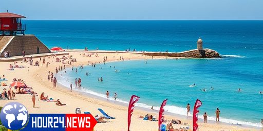 Shark Sighting Near Manly Beach Raises Safety Concerns
