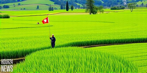 Vully Rice Fields: A Biodiversity Oasis in Switzerland