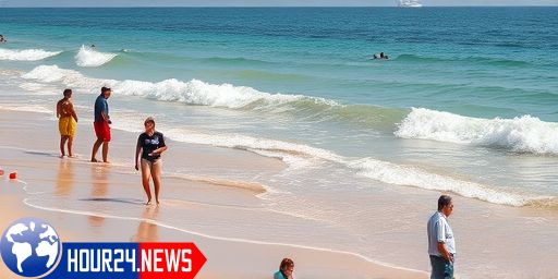 Understanding Shark Nets: Function and Effectiveness