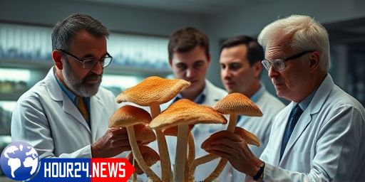 Mushrooms and Longevity: Exploring the Role of Psilocybin