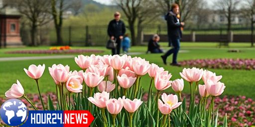 How Flowers Know It’s Spring: Insights from a Botanist