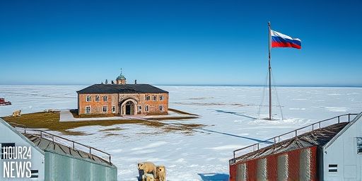Polar bears take over abandoned Soviet station on Arctic island