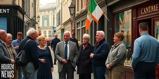 Cork housing debate: City could house 7,000 without new buildings