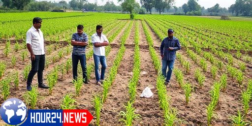 Economic Impact of Punjab Floods on Agriculture