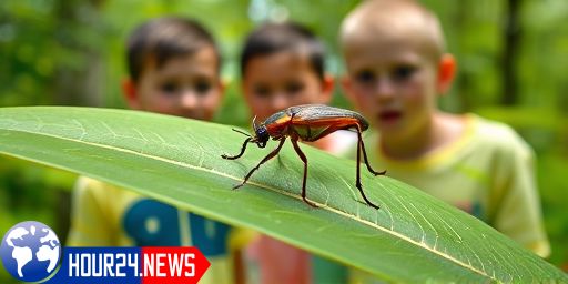 Chagas Disease: Understanding the Risks and Symptoms in the U.S.