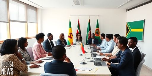 Lenacapavir: HIV prevention price slashed for LMICs