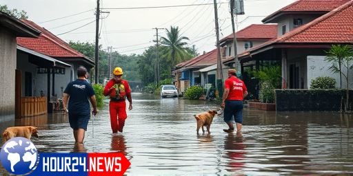 Indonesia Floods: 19 Dead as Heroic Dogs Save Australian Woman