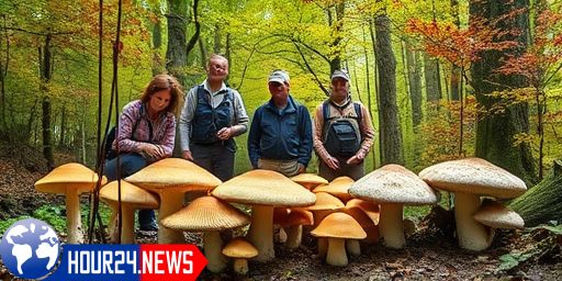 Tragic Death of Mushroom Forager in Tuscany: A Cautionary Tale