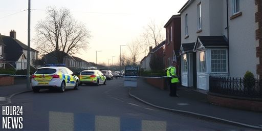 Three found dead in Ireland: man in his 30s arrested