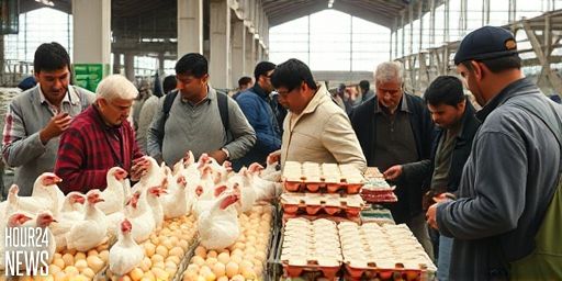 أسعار الفراخ والبيض اليوم الأحد 14 سبتمبر 2025