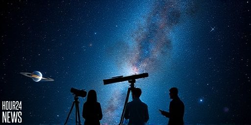 Exploring Habitable Zones in the Milky Way