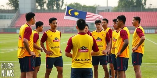 Malaysian citizenship for Harimau Malaya heritage players follows the book, home minister says