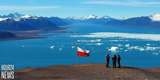 Earth from Space: Chilean Glaciers—San Rafael and San Quintín Rise and Retreat