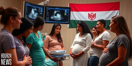 Fetal Cardiac Nomograms in Egyptian Pregnancies: A Northeastern Cairo Study