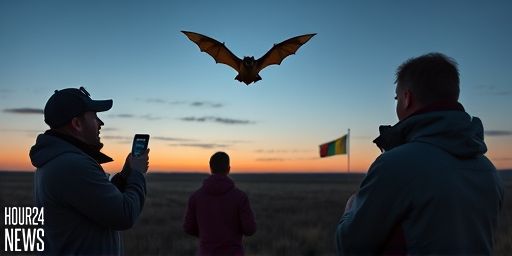 Europe’s Largest Bats Hunt And Eat Migrating Birds On Wing, High In Sky