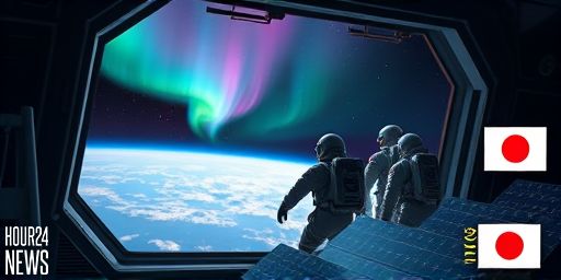 Japanese Astronaut Captures Stunning Aurora Photo From ISS Window