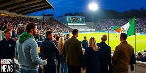 Nothing beats the live sport experience: a closer view from the stands