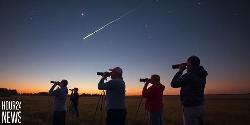 Two Green Comets Night-Sky Spectacle: Lemmon and SWAN Illuminating Autumn Skies