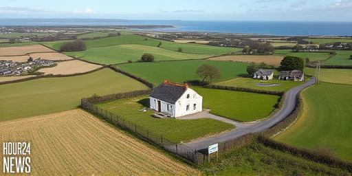 West Cork Farm Auction: 68-Acre Holding Goes to Public Auction