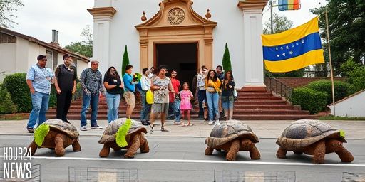 Painted Tortoises Race in Venezuelan Saint Francis Festival