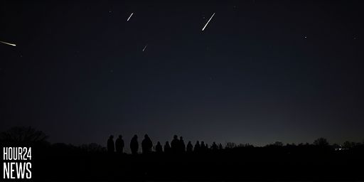 Taurid Meteor Shower 2025: Fireballs Expected as Peaks Near in November
