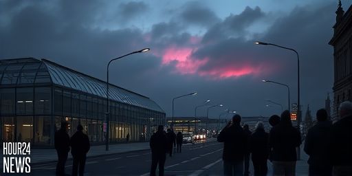 Not the Northern Lights: Dublin’s Aurora Berryalis Explained