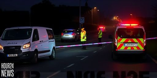 Tragic N25 Crash in Wexford: Gardaí Investigate After Van and Jeep Collision