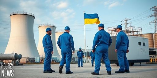 IAEA Warns Diesel Could Last Ten Days at Zaporizhzhia NPP Amid Outage