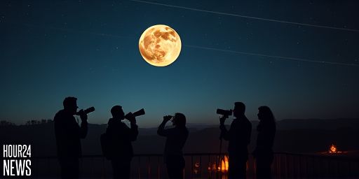 Astronomical Events in October 2025: Harvest Moon, Orionids, and More