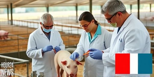 Natural nasal microbes offer broad-spectrum antiviral protection for pigs