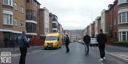 Tragedy in Donaghmede: Teenager Dies after Violent Incident at North Dublin Emergency Facility