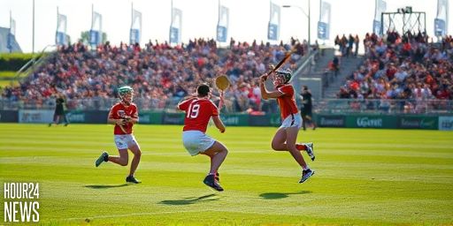 Naas Clinches Seventh Consecutive Kildare SHC Crown With Dominant Win Over Maynooth