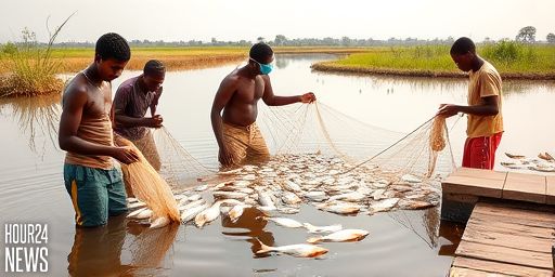 Pseudomonas Infections in Nile Tilapia (O. niloticus) from Ethiopian Aquaculture Ponds: Phenotypic, Molecular Detection, and Antibiogram