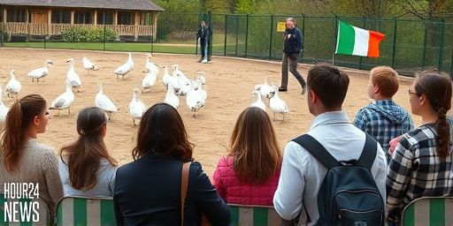 Bird Flu Detected in Captive Birds at Fota Wildlife Park, Cork