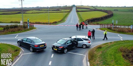 Tragic Multi-Vehicle Crash on N10 in Kilkenny Claims Man’s Life